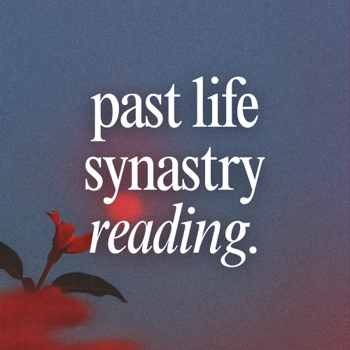 Text 'past life synastry reading' on a blurred background with red flowers.